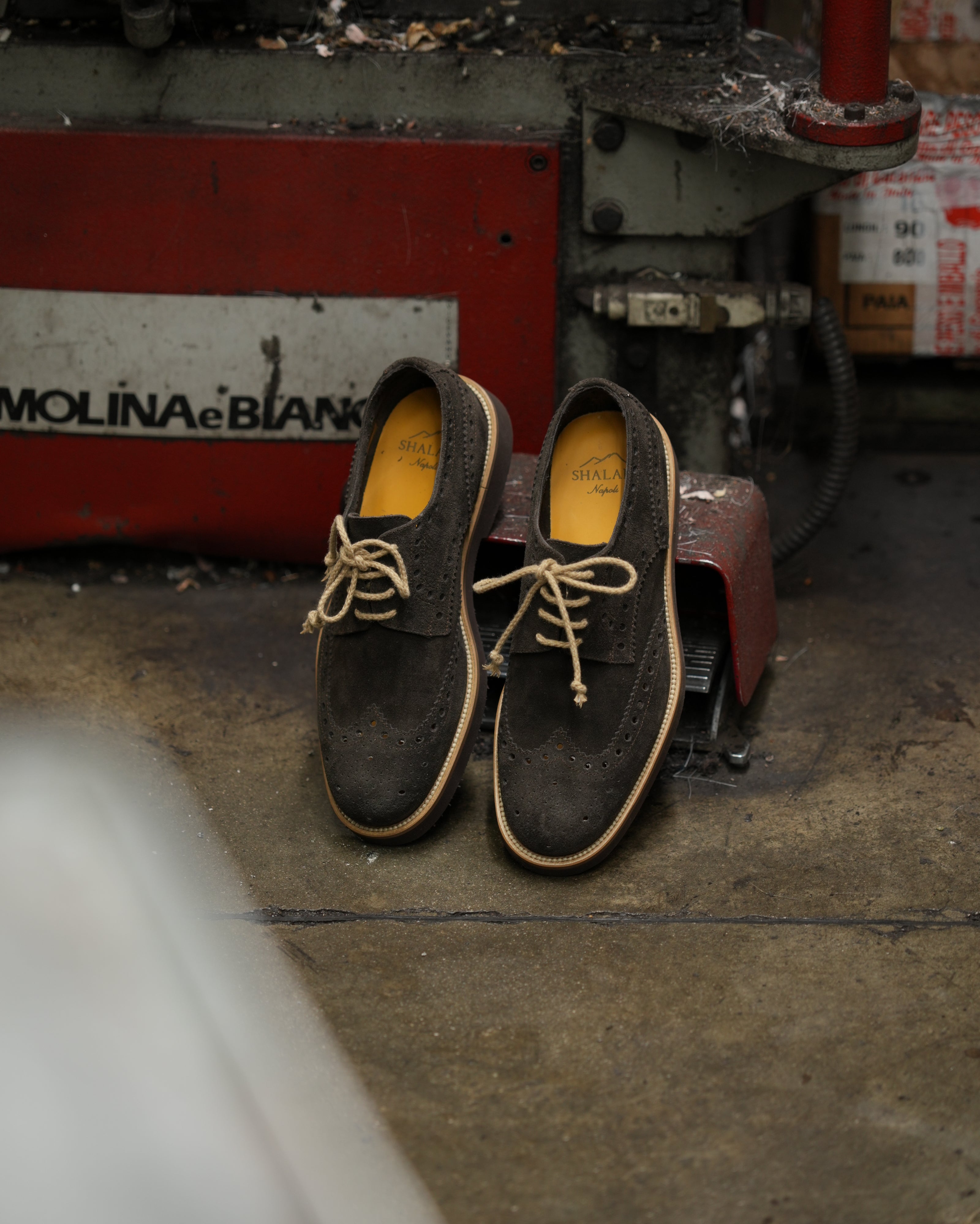 Ponente – Zapato brogue Oxford de ante marrón