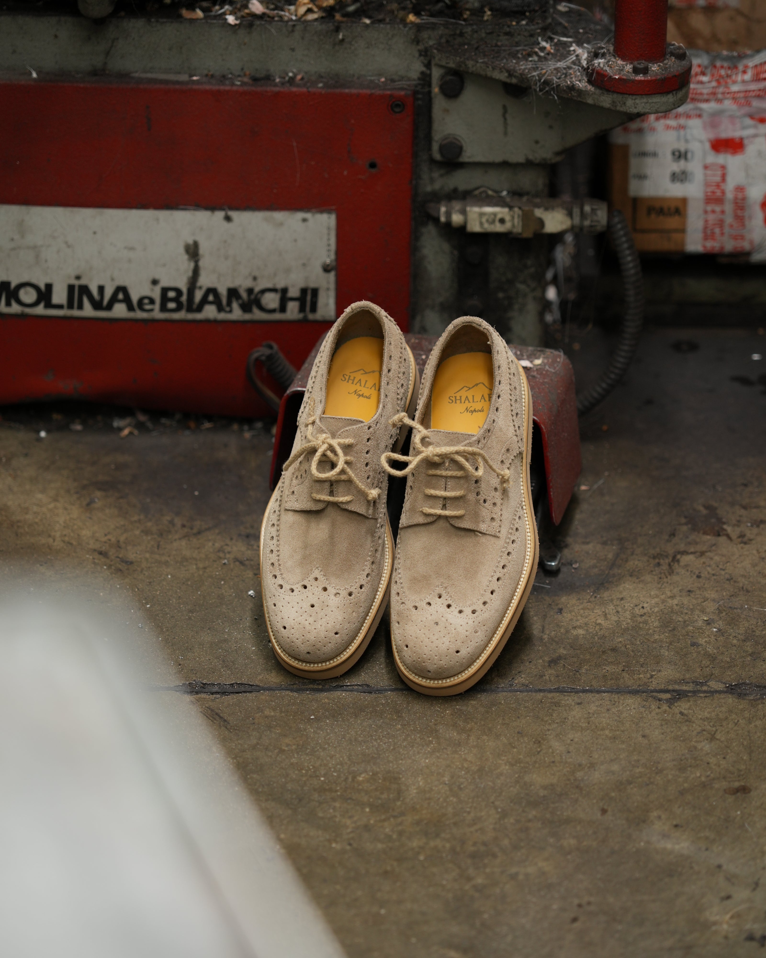 Ponente – Zapato brogue Oxford en ante beige