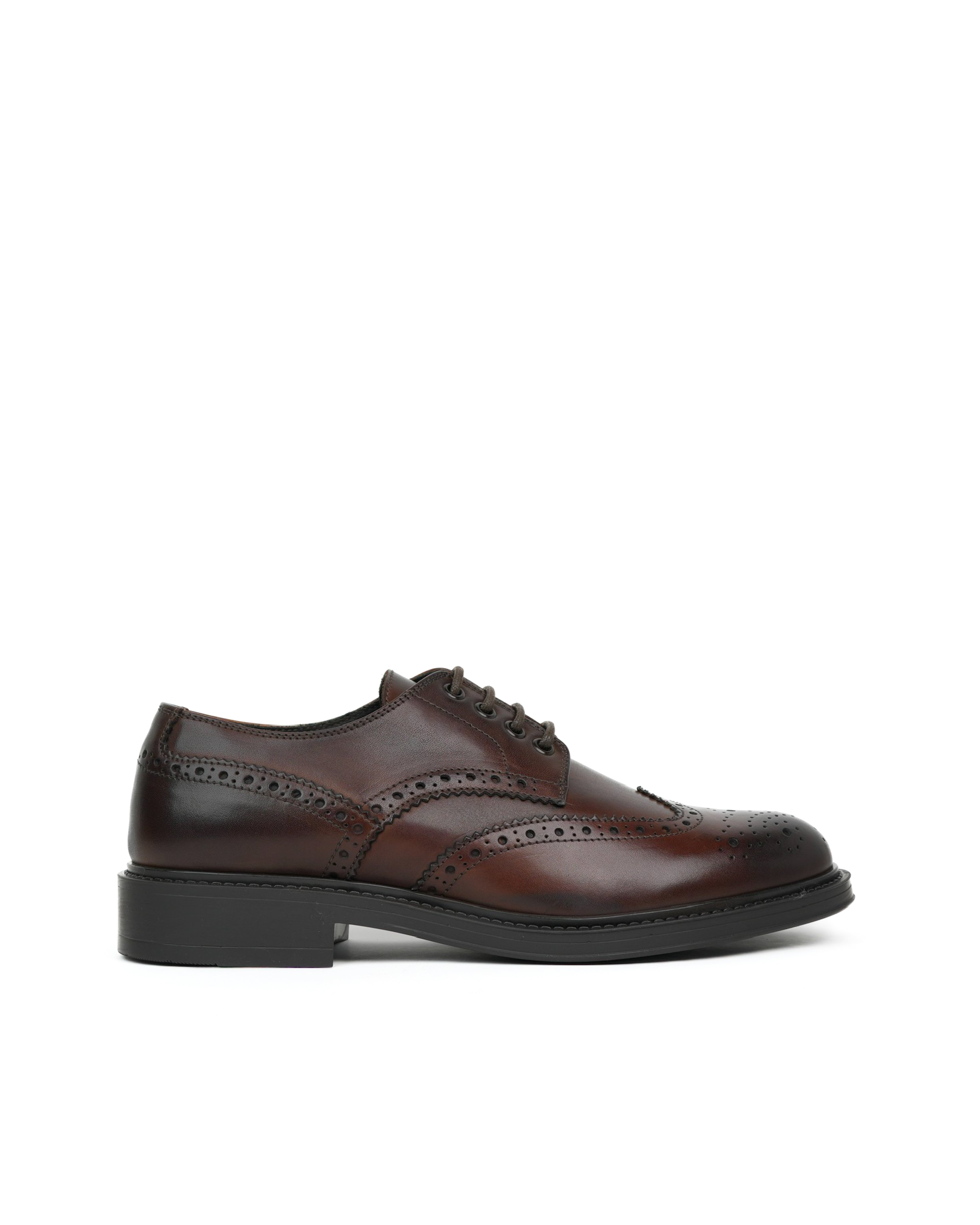 Scarpe Derby Richmond di lusso SHALAPI 1.1 in marrone
